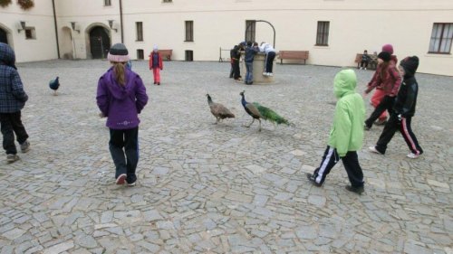 Příměstský tábor v aquacentru 25. - 26. 10.